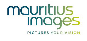 Logo mauritius-images